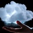 The Secrets Of Cloud Migration